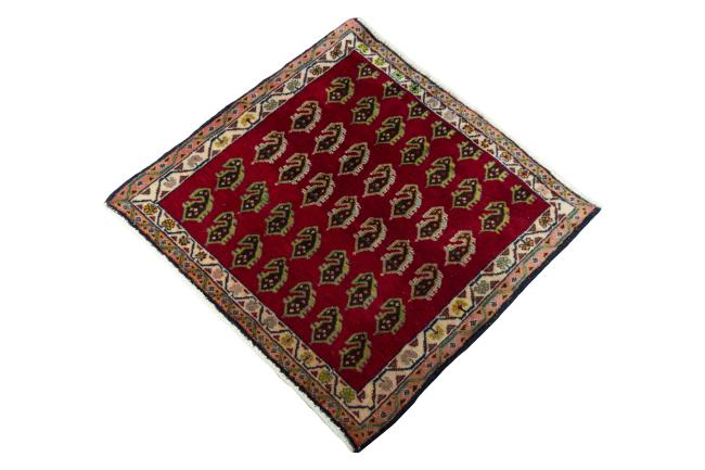 Shiraz - 1