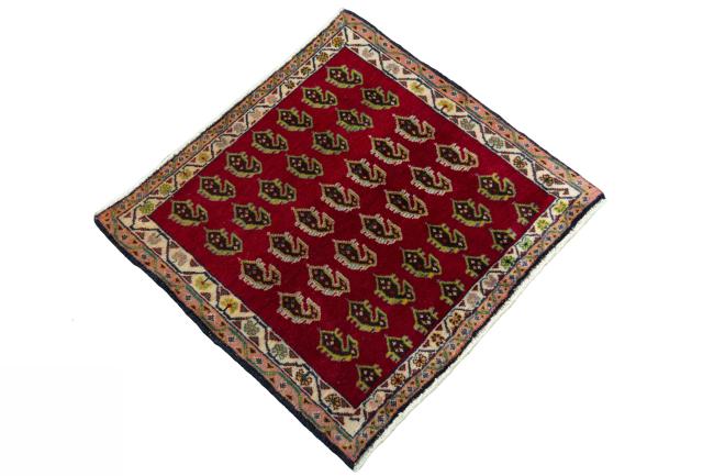 Shiraz - 2