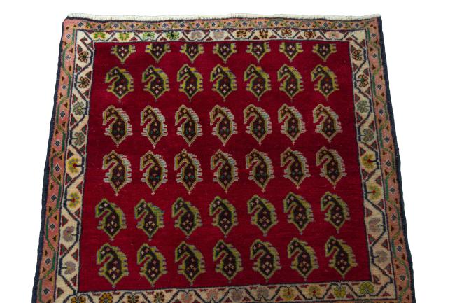 Shiraz - 3