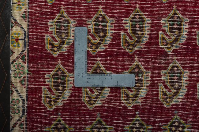 Shiraz - 4