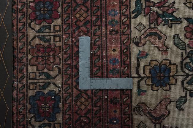 Baluch - 6