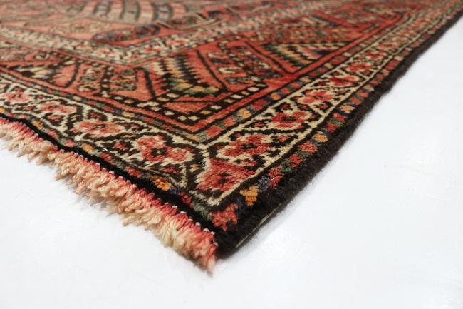 Shiraz - 4