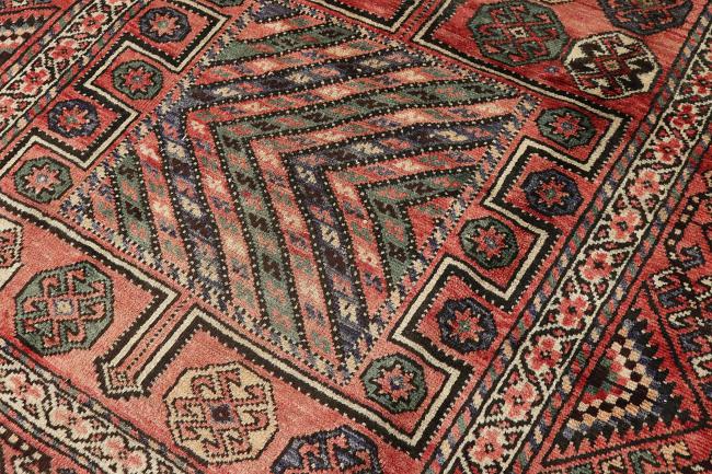 Shiraz - 5