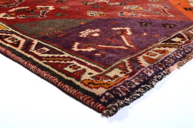 Shiraz - 4