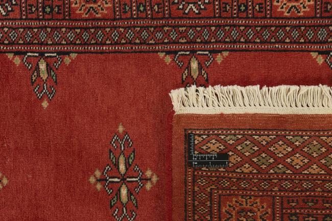 Pakistan Buchara 2ply - 1