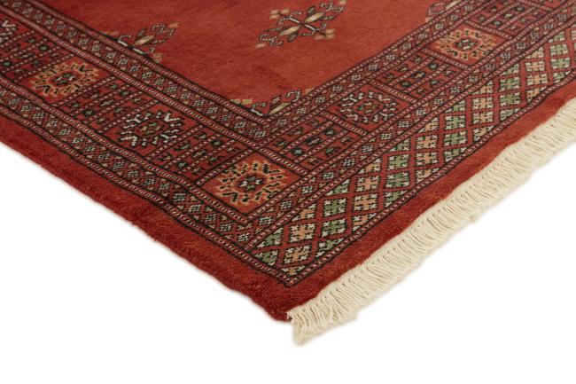 Pakistan Buchara 2ply - 3