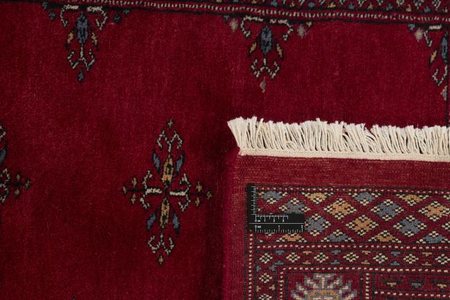 Pakistan Buchara 3ply - 1