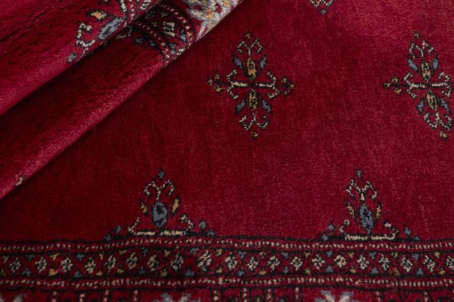 Pakistan Buchara 3ply - 2