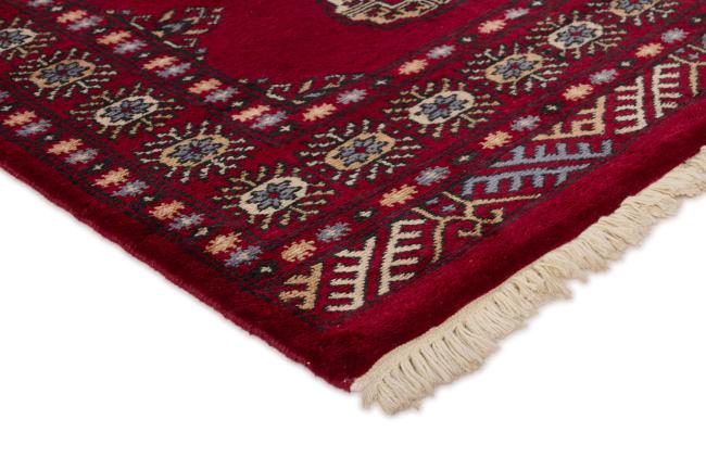 Pakistan Buchara 3ply - 3