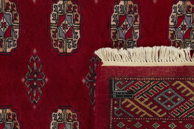 Pakistan Buchara 3ply - 1