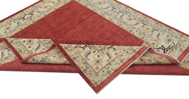 Ziegler Farahan - 5