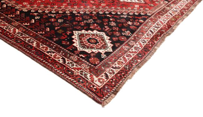 Shiraz - 4