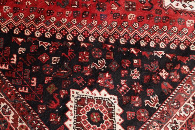 Shiraz - 5