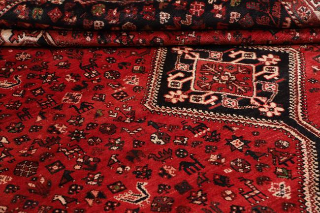 Shiraz - 9