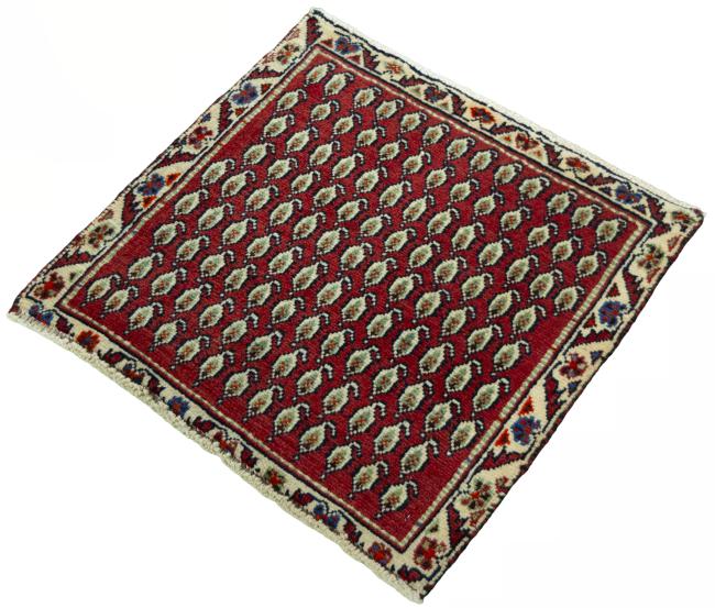 Shiraz - 1