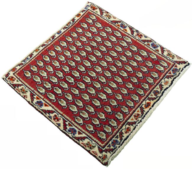 Shiraz - 2