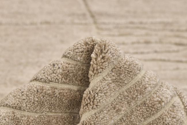 Sindhi Landscape - 6