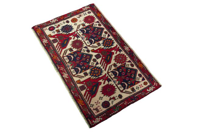 Shiraz - 1
