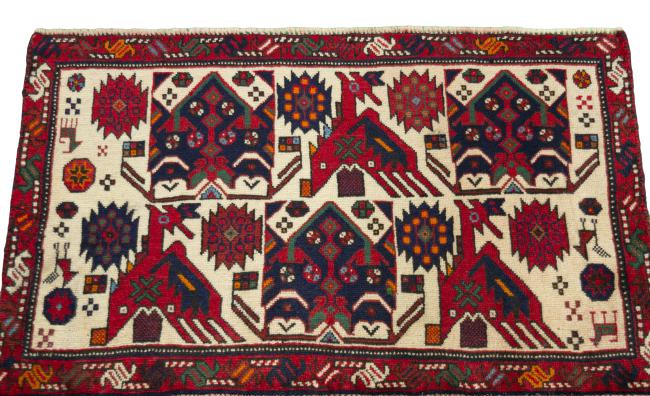 Shiraz - 3