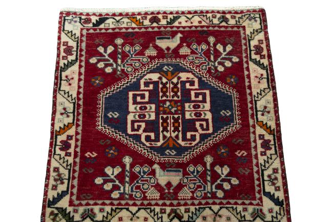 Shiraz - 3