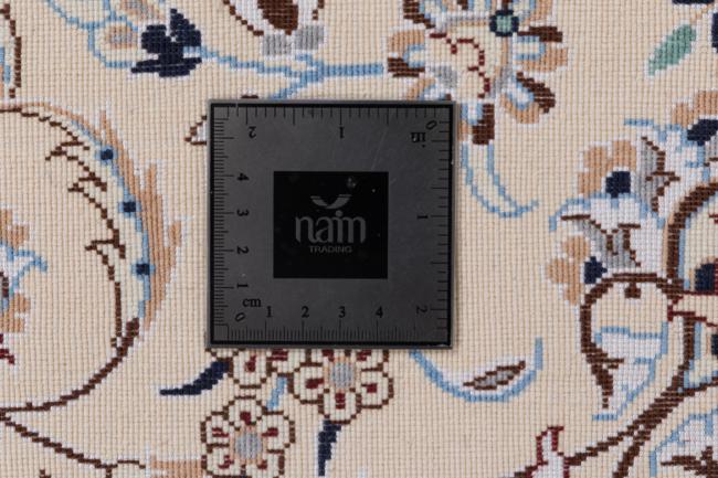 Nain 6La Signiert - 9
