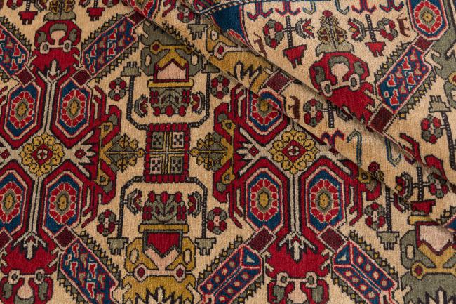 Shirwan - 8