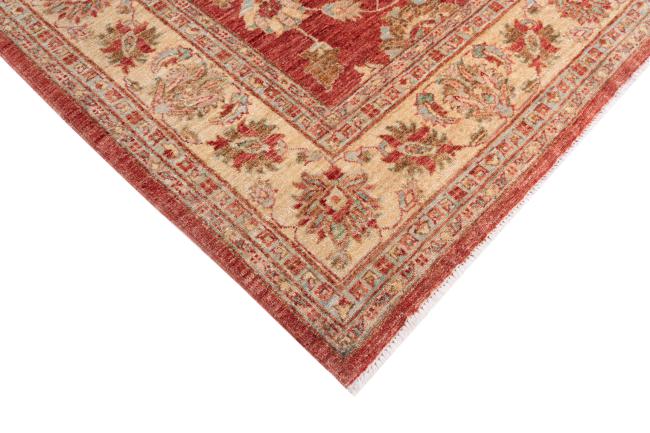Ziegler Farahan - 5