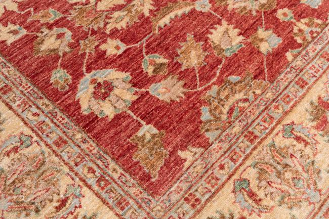 Ziegler Farahan - 6