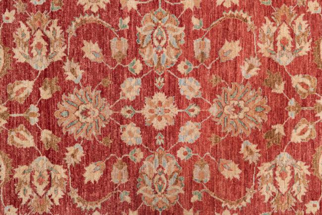 Ziegler Farahan - 8