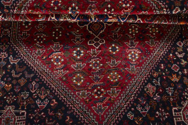 Shiraz - 8