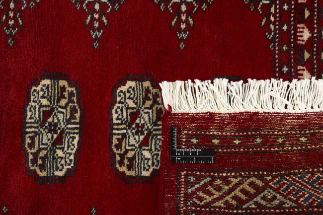 Pakistan Buchara 2ply - 1