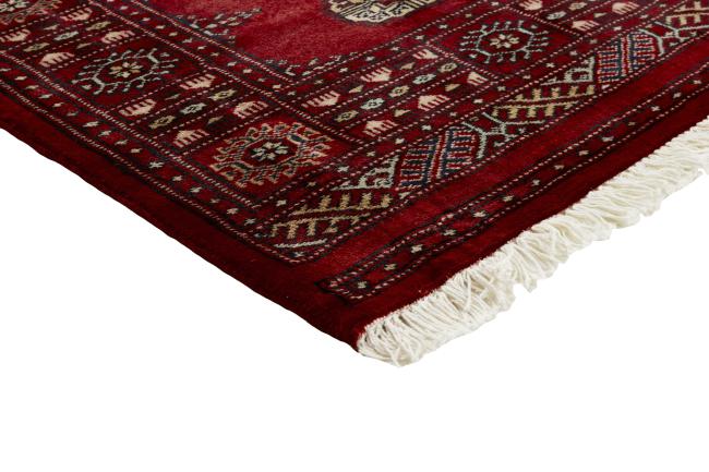 Pakistan Buchara 2ply - 3