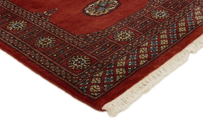 Pakistan Buchara 2ply - 3