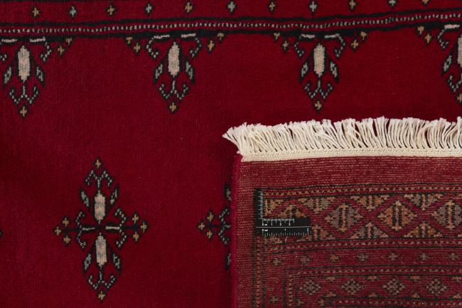 Pakistan Buchara 2ply - 1