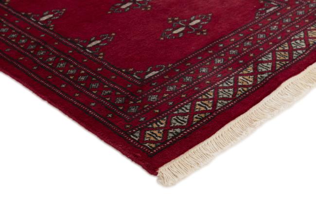 Pakistan Buchara 2ply - 3