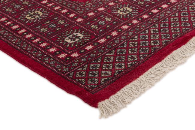 Pakistan Buchara 2ply - 3
