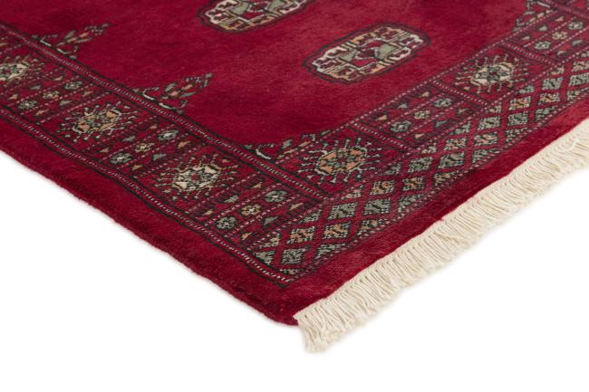 Pakistan Buchara 3ply - 3