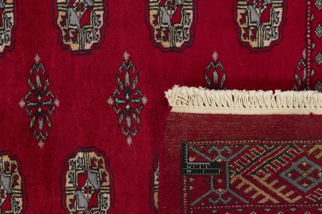 Pakistan Buchara 3ply - 1