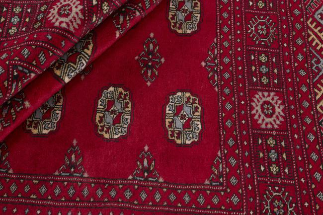 Pakistan Buchara 3ply - 2