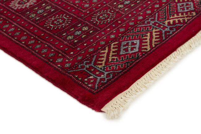 Pakistan Buchara 3ply - 3