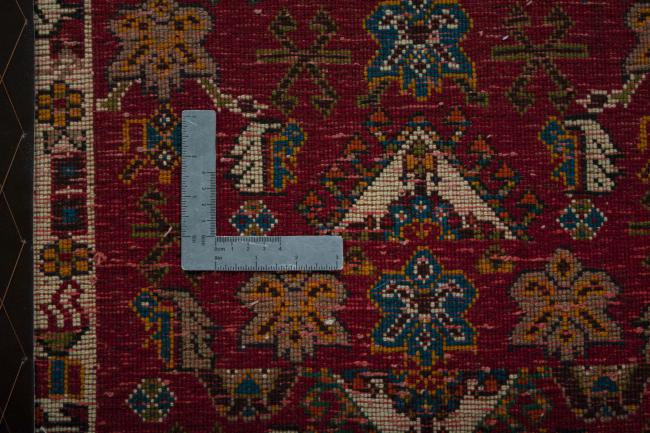 Shiraz - 4