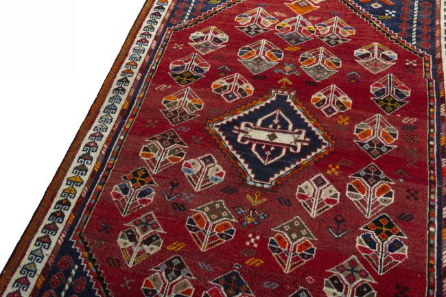 Shiraz - 4