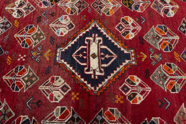 Shiraz - 5