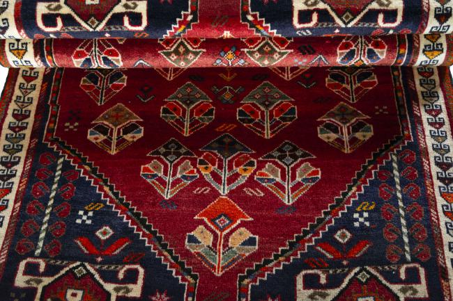 Shiraz - 8