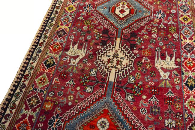 Shiraz - 4