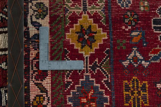 Shiraz - 9