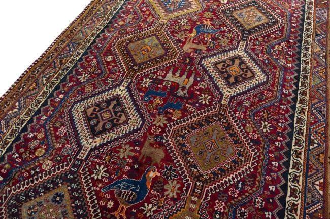 Shiraz - 4