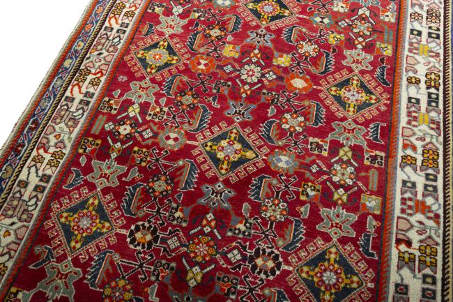 Shiraz - 4