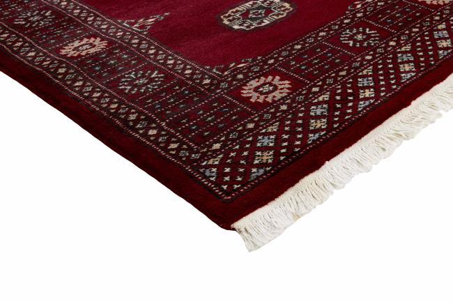 Pakistan Buchara 2ply - 3