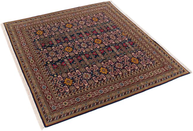 Shirwan Old - 2